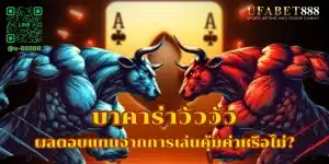 บาคาร่าวัววัว