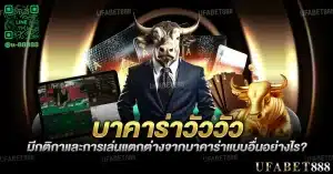 บาคาร่าวัววัว