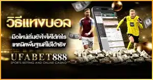มือใหม่ควรเริ่ม วิธีแทงบอล อย่างไร